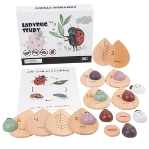 Ladybug Life Cycle Puzzle