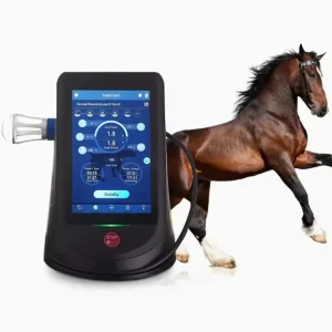 Laser for Horses