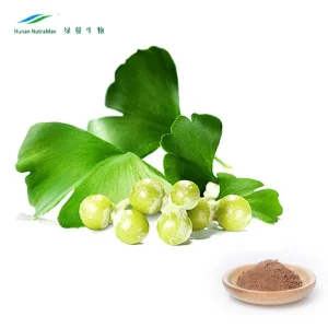 Ginkgo Biloba Leaf Extract
