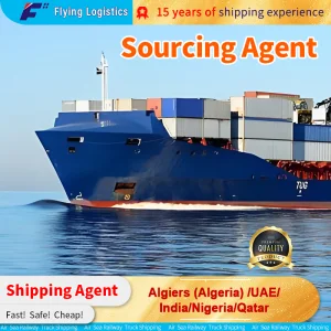 Air Cargo Service Sea Freight Forwarder to Algiers (Algeria) /UAE/India/Nigeria/Qatar DDP Shipping Agent Service Logistic Service