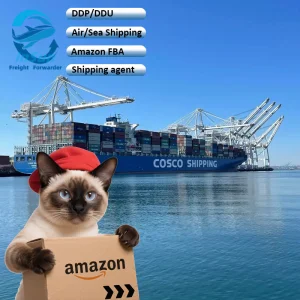 International Customs Clearance