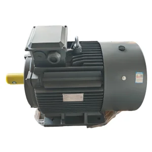 Thermistor Protected Automatic Cutout Three Phase Asynchronous Electrical Motor for Stone Crushing Plant Conveyors and Rock Jaw Crusher Drives