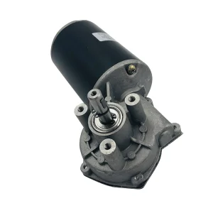 Worm Gear Motor