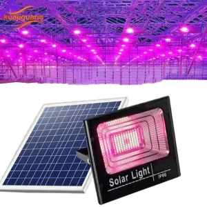 Solar Powered LED