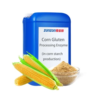Corn Gluten Processing Enzyme In Corn Starch Production For High Corn Gluten Meal Yield & Reducing Protein Filter Cake Moisture