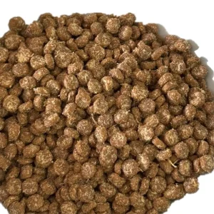 Comida para gatos premium rica en 90% carne real