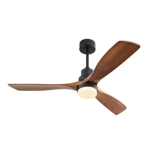 Zhongshan Room Home Hotel Decorative Lighting Indoor Ceiling Fan Light 3 Blade Black Led Ceiling Fan Lamp