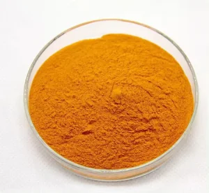 Lutein Zeaxanthin Marigold Flower Extract