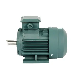 Ye3 Three Phase Motor