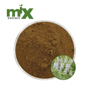 Goats Rue Extract Natural Botanical Powder Water Soluble OEM Bulk Supply for Food Beverage and Plant Based Formulations