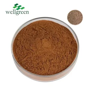 Natural Herbal Purple Perilla Frutescens Extract Water Soluble Perilla Seed Extract Powder