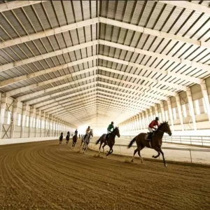 Durable Steel Frame Horse Barn Quick Assembly