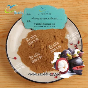 Factory Supply Mangosteen Extract 20% 90% Alpha Mangostin