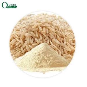 Top Selling Rice Protein Isolate