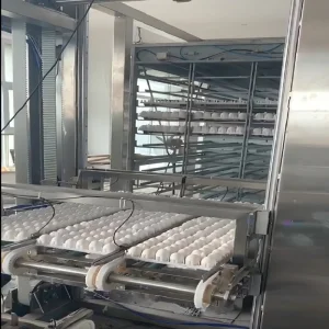 High-Speed Robotic Equipment for Efficient Egg Removal in Vaccines