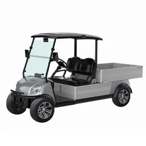 Marshell 2 Seater 48V Cheap Utility Cart Golf Cart with Cargo Box for Hunting Club Farm Village (DU-CA500)