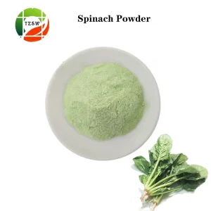 Polvo de espinaca verde natural de alta calidad