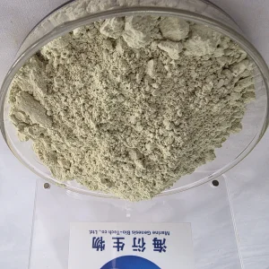 Organic Pumpkin Seed Protein Powder