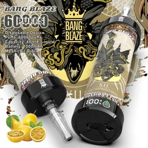 40ml E-Liquid Mesh Coil 60000 Puffs Bang Blaze Shisha