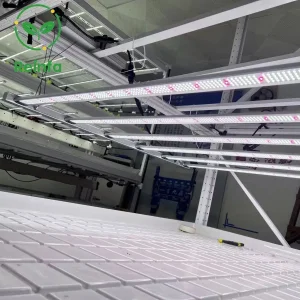 Iluminação LED de Cultivo de Grau Comercial 650W para Maiores Fazendas Internas