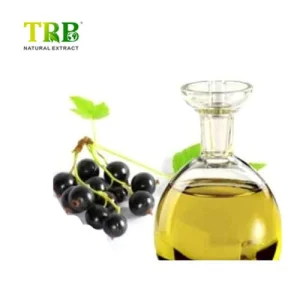 Wholesale Black Cumin Seed Oil Manufacturers, Suppliers