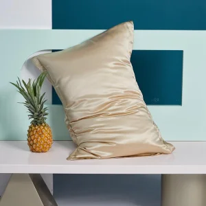 Factory 100% Mulberry Oxford Silk Pillow Case