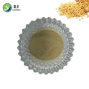 Soybean Meal Wholesale