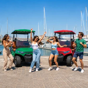 LVTONG 4 Seat Electric Sightseeing Car Custom Street Legal Utility Motorized Golf Cart