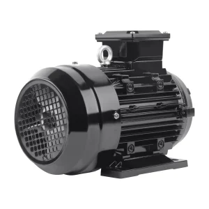 Bomba de Lavadora de Alta Presión Motor Eje Hueco 5.5kw 7.5HP Trifásico 24mm Eje