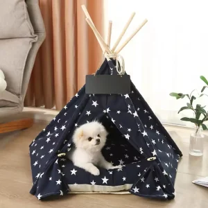 Modern Cartoon Tent
