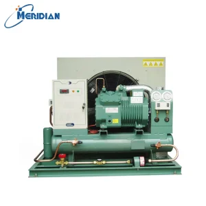 Outdoor Wall Split Condensing Unit Mobile Container Cold Room Walk-in Cold Storage Freezing Copper Tube R22 R404A 220V