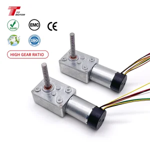TT Motor TWG3246-TEC2430 Dc 12V 24V Low Speed DC 32mm Diameter Gear Motor Worm Reducer Motor With Gear Box