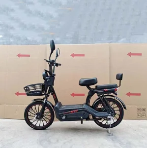 China High-Quality Two-wheeled Electric Bike Model: Free Wind