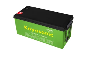 Electric Boat Battery Spain