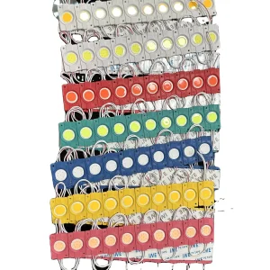 Classic Design COB LED Module Light 2.4watts 12V DC Outdoor IP65 White Red Yellow Blue Green Pink for Light Box Board Signs