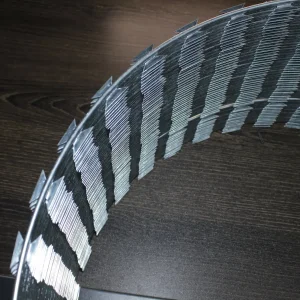 Cbt65 Bto22 Cbt60 Security Galvanized Concertina Razor Barbed Wire for Prison Fence