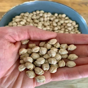 Dried Chickpeas