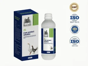 Advanced Liver Health Support Formula for Optimal Wellness