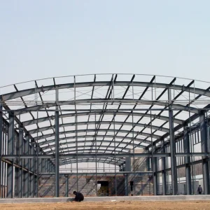 Metal Building Fast Installing Customized Hangar Warehouse Exhibition Hall Canopy Steel Structue