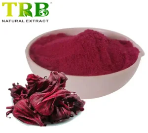 Wholesale Roselle Juice Powder