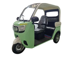 China Best Electric Tricycle Fully Enclosed Trike Passenger Tricycle for Family Use（DK09)