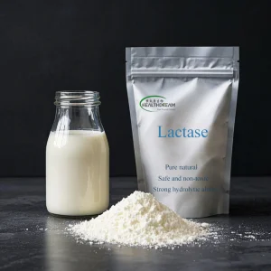 Food Grade Lactase Enzyme Powder