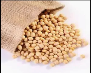 CAS 9010-10-0 Tvp Organic Hydrolyzed Soybean Soy Protein