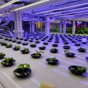 Agg Smart Farm Grow Hydroponic Vertical Farming System Greenhouse Container