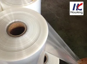 Food Packaging Thermoforming