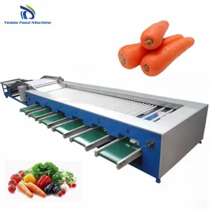Automated Papaya Sorting and Packaging System