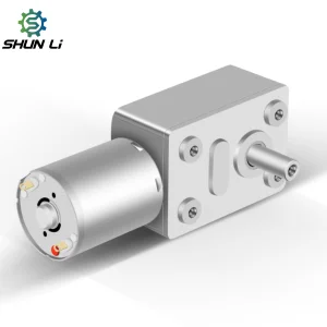 Shunli Custom DC Gear Reduction Motor