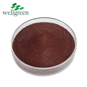 Vietnam Caramel Powder