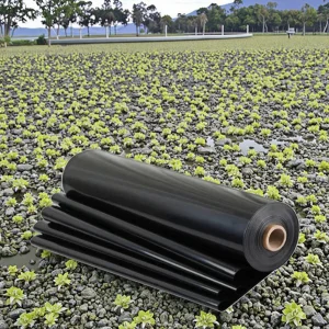 Black Green 1.5mm HDPE Geomembrane Eco-Friendly Durable Anti-UV Waterproof Fish Farm Dam Pond Landfill Liner Roll