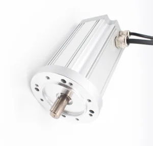 DC Brushless Servo Motor